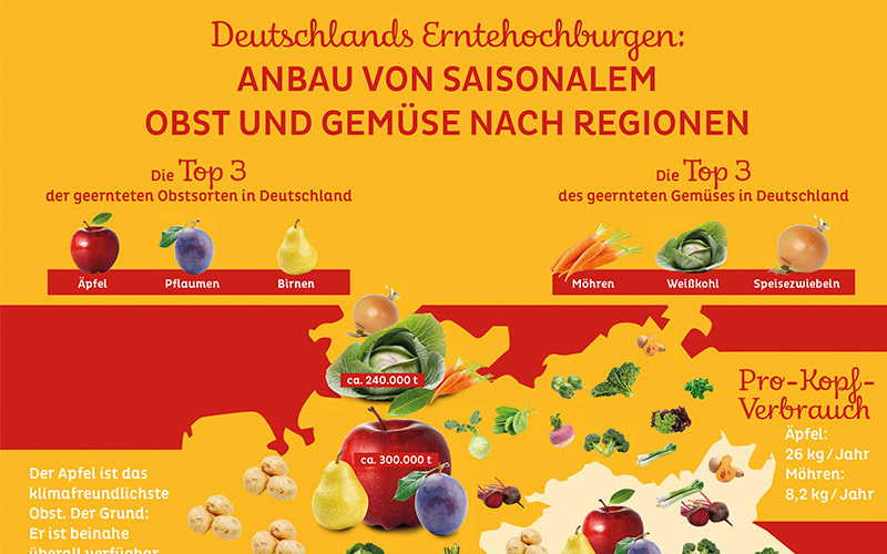 REWE Infografik Anbau von Saisongemüse nach Region REWE Obst und Gemüse; Infografik Joachim Staak
